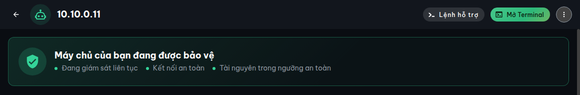 Phần đầu trang chi tiết với tên máy chủ, trạng thái online, dòng IP chính kèm nút sao chép và các nút hành động nhanh
