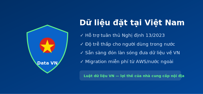 04-data-vn.png