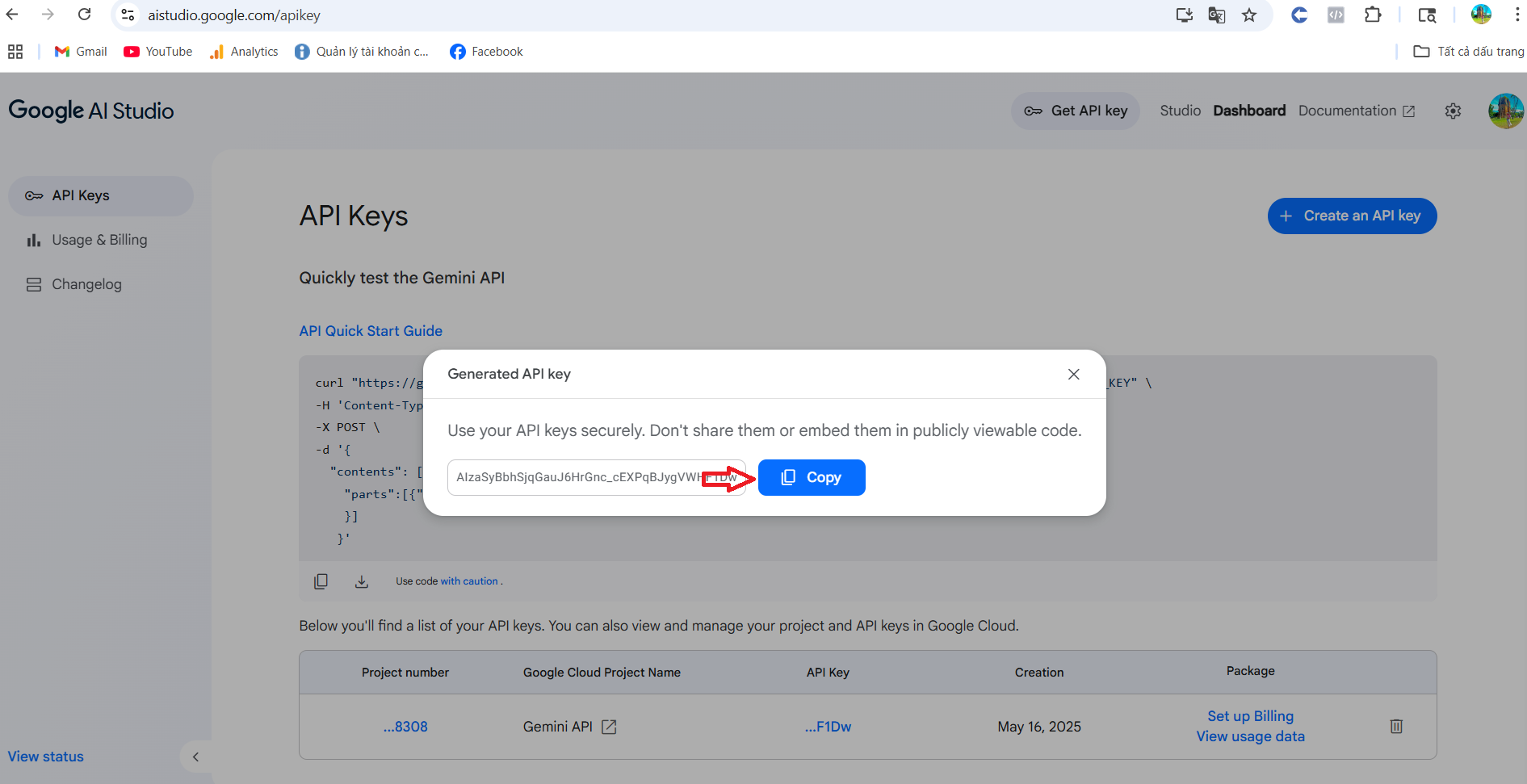 Sao chép API Key Google Gemini